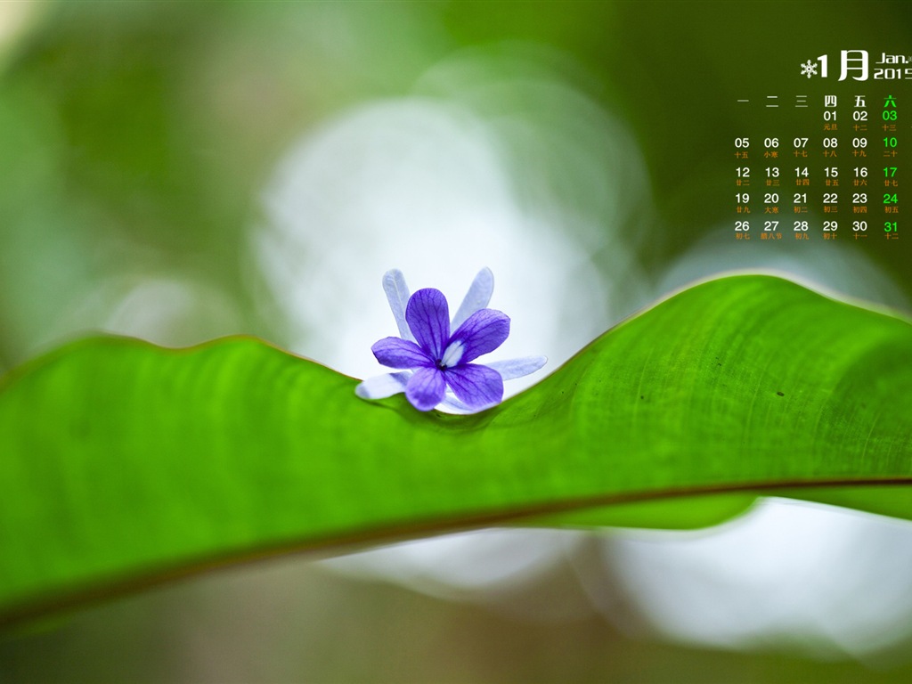 January 2015 calendar wallpaper (1) #18 - 1024x768