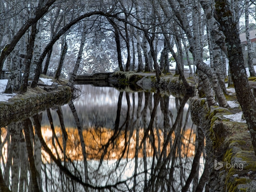 12 2014 fondos de pantalla HD Bing #11 - 1024x768