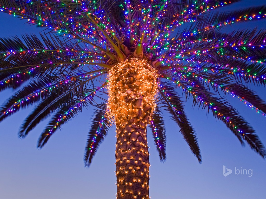 Décembre 2014 fonds d'écran HD Bing #23 - 1024x768