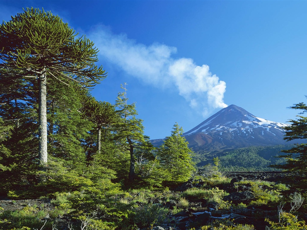 唯美养眼的自然风景 高清壁纸17 - 1024x768