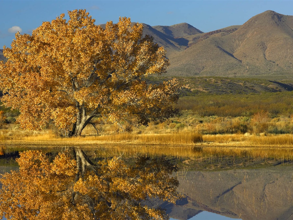 唯美养眼的自然风景 高清壁纸19 - 1024x768