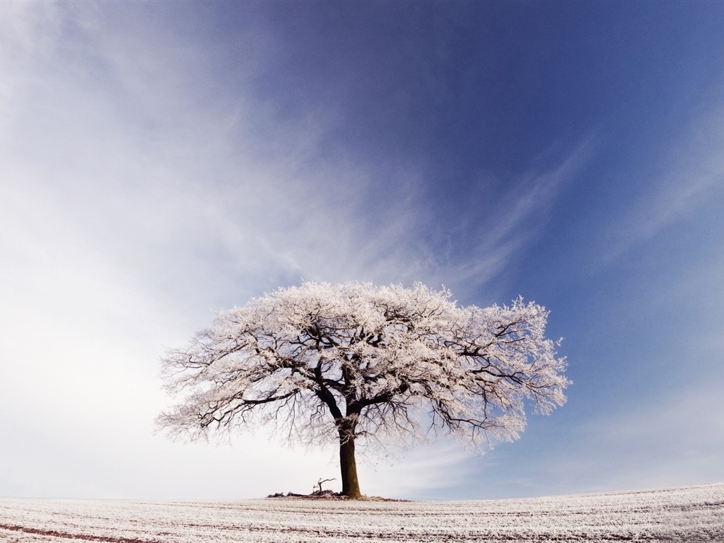 Neige d'hiver fonds d'écran HD magnifique de paysages #4 - 1024x768