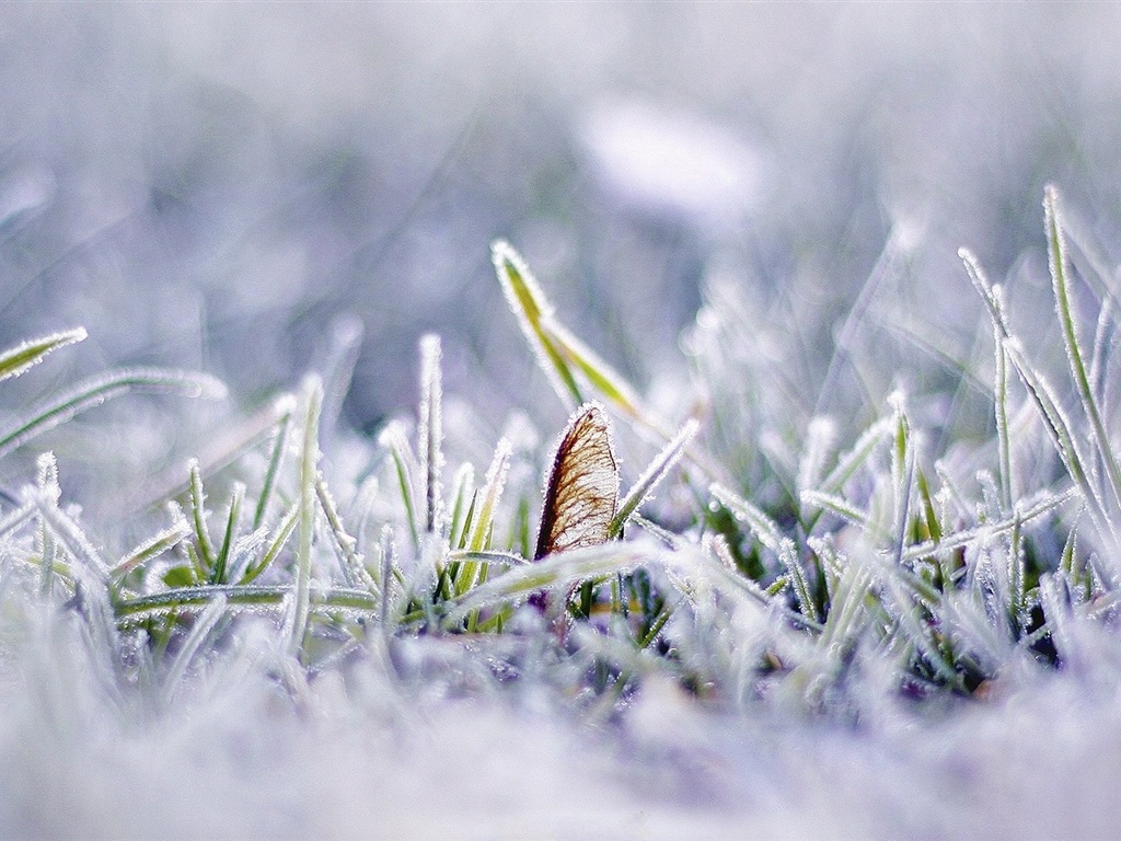 Neige d'hiver fonds d'écran HD magnifique de paysages #5 - 1024x768