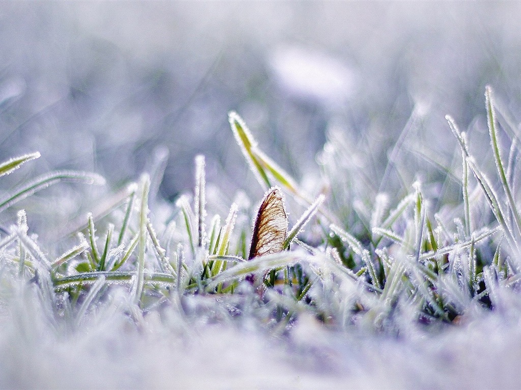 冬季冰雪美景 高清壁纸5 - 1024x768