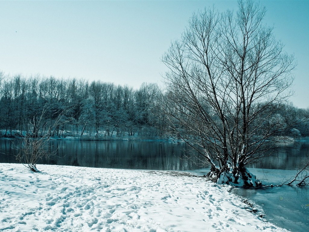 Neige d'hiver fonds d'écran HD magnifique de paysages #6 - 1024x768