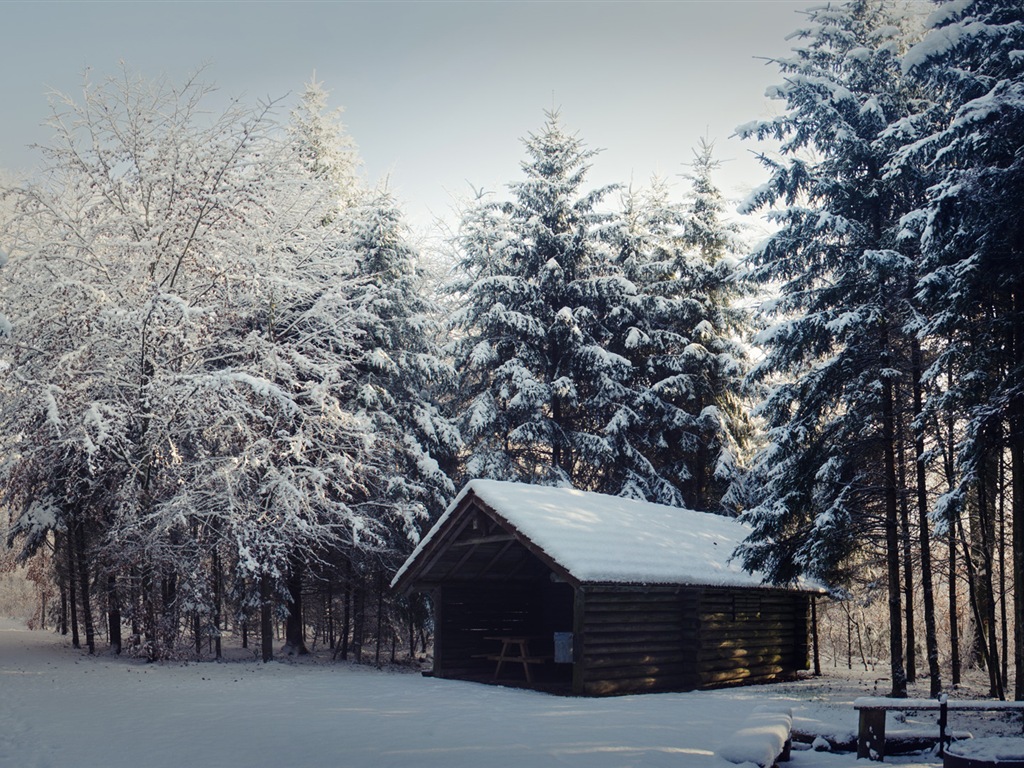 Neige d'hiver fonds d'écran HD magnifique de paysages #12 - 1024x768