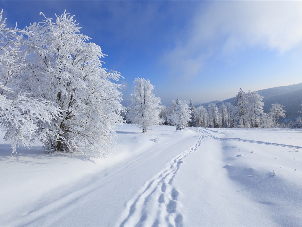 Neige d'hiver fonds d'écran HD magnifique de paysages #14 - 1024x768