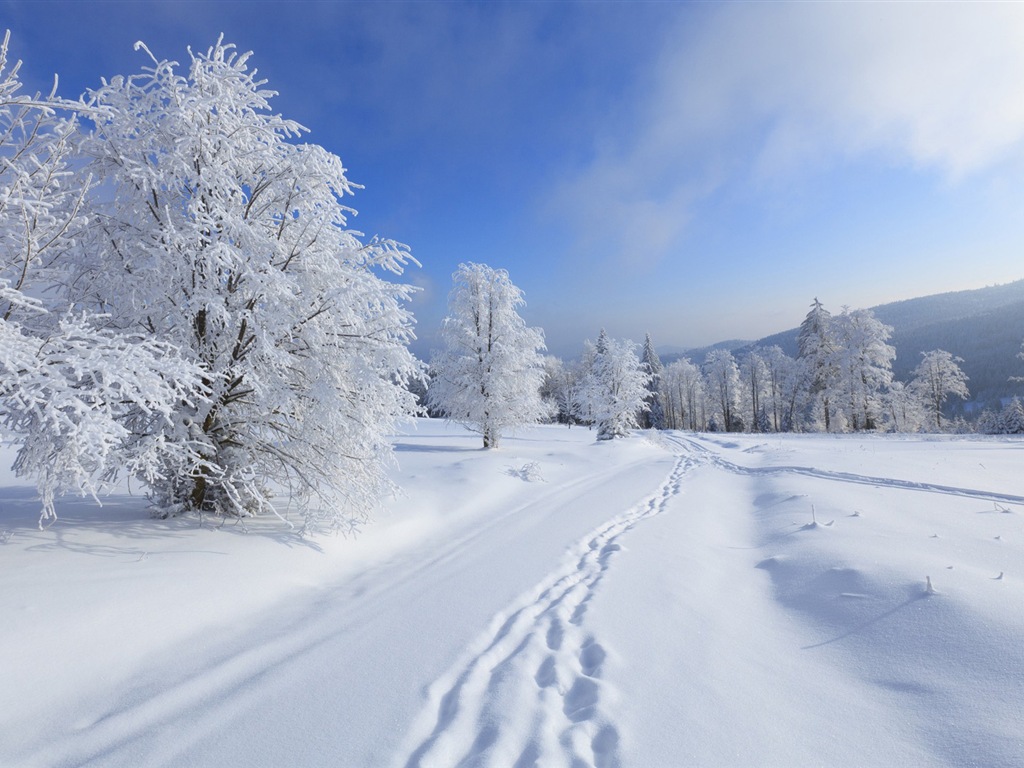 冬季冰雪美景 高清壁紙 #14 - 1024x768