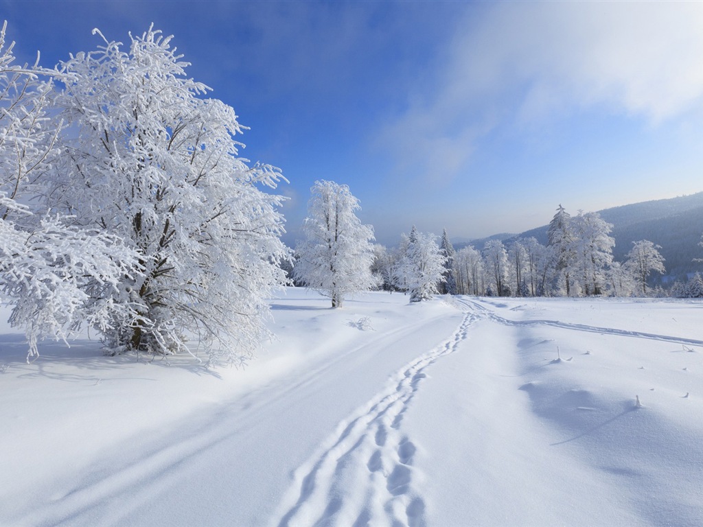 冬季冰雪美景 高清壁纸14 - 1024x768