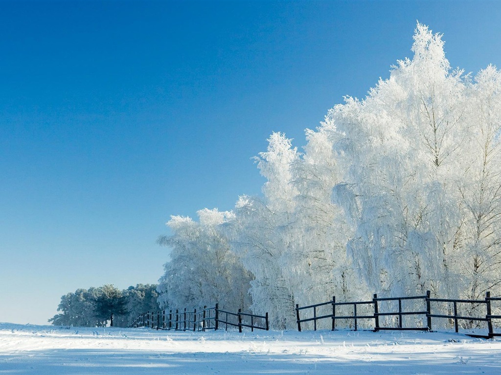 Neige d'hiver fonds d'écran HD magnifique de paysages #15 - 1024x768
