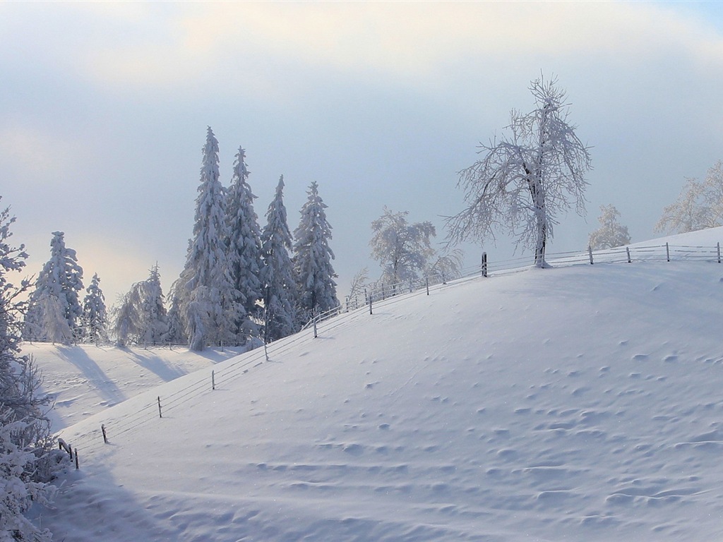 Neige d'hiver fonds d'écran HD magnifique de paysages #16 - 1024x768