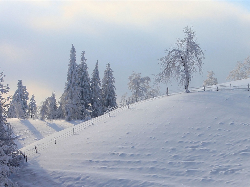 冬季冰雪美景 高清壁紙 #16 - 1024x768