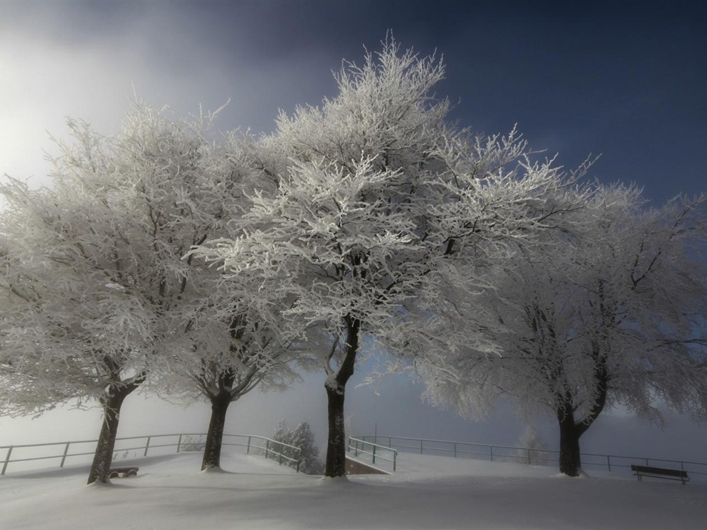 Neige d'hiver fonds d'écran HD magnifique de paysages #18 - 1024x768