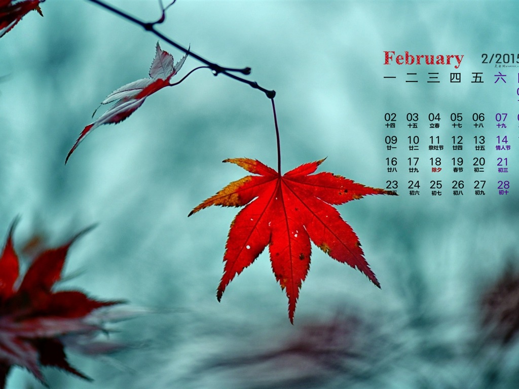 February 2015 Calendar wallpaper (1) #9 - 1024x768