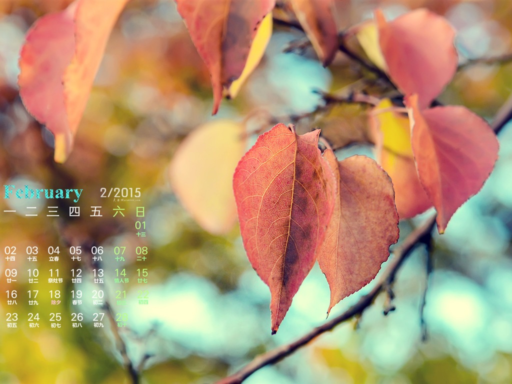 February 2015 Calendar wallpaper (1) #10 - 1024x768