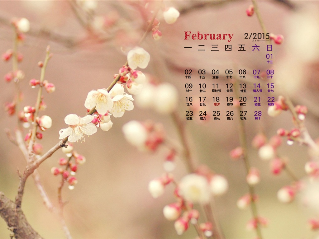 Februar 2015 Kalender Wallpaper (1) #12 - 1024x768