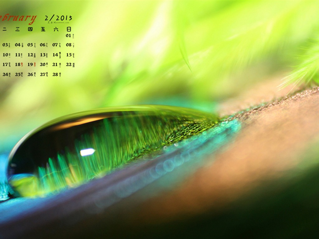 February 2015 Calendar wallpaper (1) #18 - 1024x768