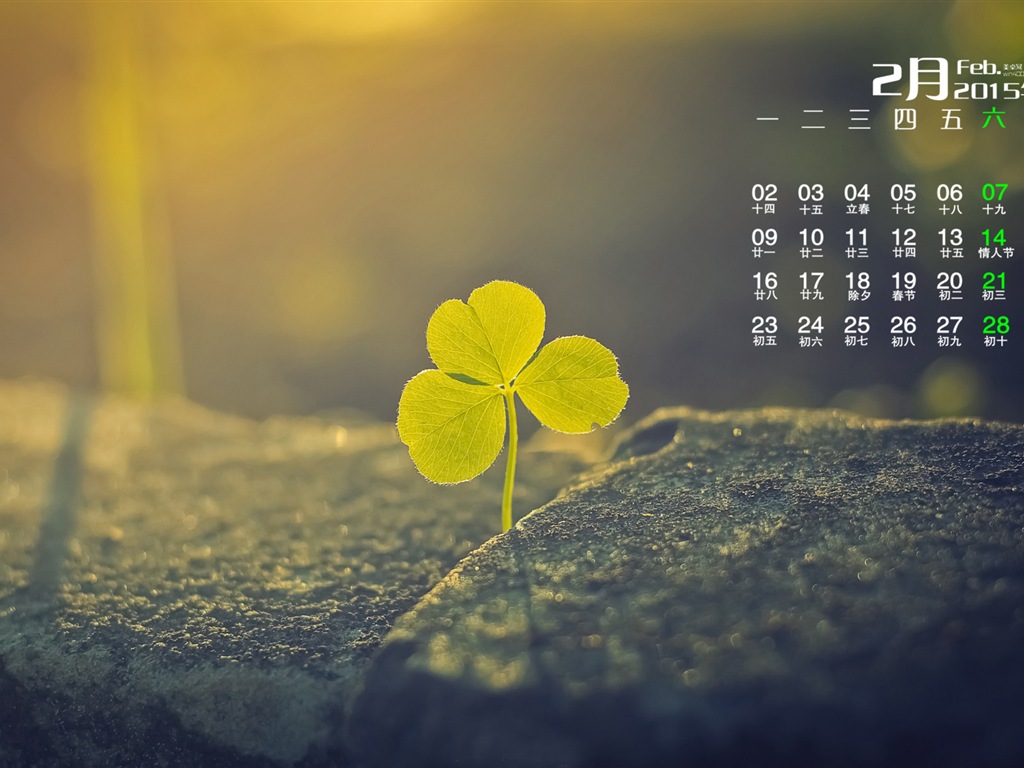 Februar 2015 Kalender Wallpaper (1) #19 - 1024x768