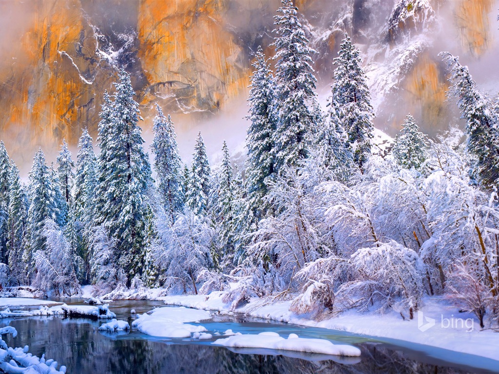 Janvier 2015 fonds d'écran HD Bing #1 - 1024x768