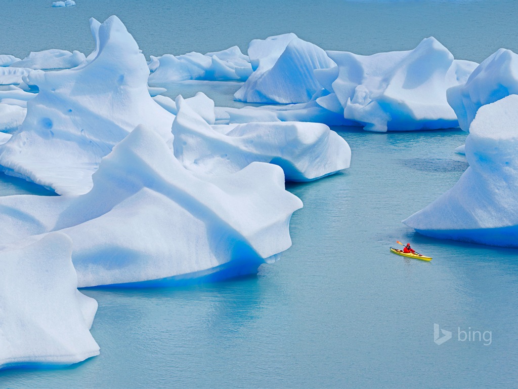 Janvier 2015 fonds d'écran HD Bing #7 - 1024x768