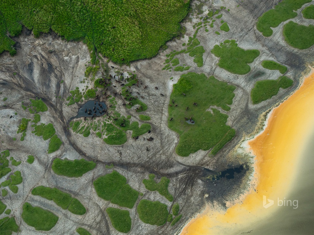 Janvier 2015 fonds d'écran HD Bing #12 - 1024x768