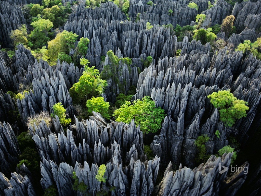 Janvier 2015 fonds d'écran HD Bing #29 - 1024x768