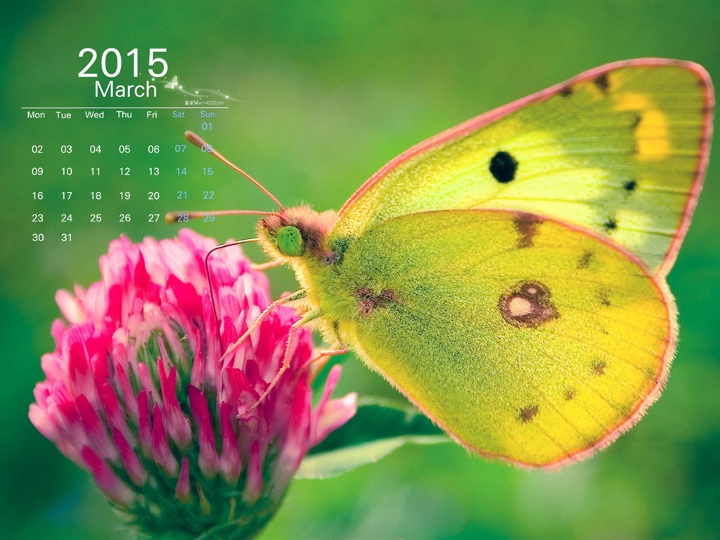2015年3月 月曆壁紙(一) #1 - 1024x768