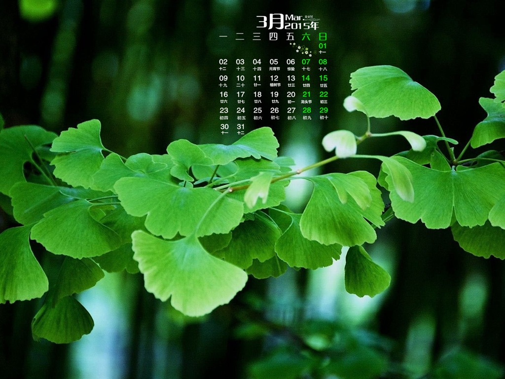 2015年3月 月曆壁紙(一) #2 - 1024x768
