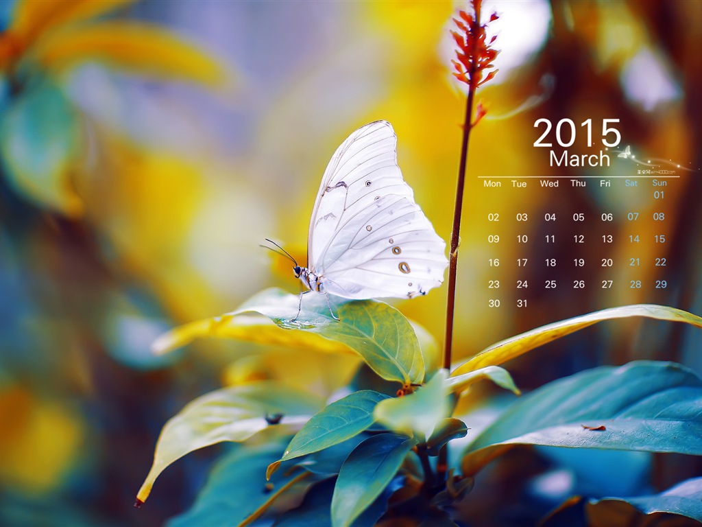 2015年3月 月曆壁紙(一) #8 - 1024x768