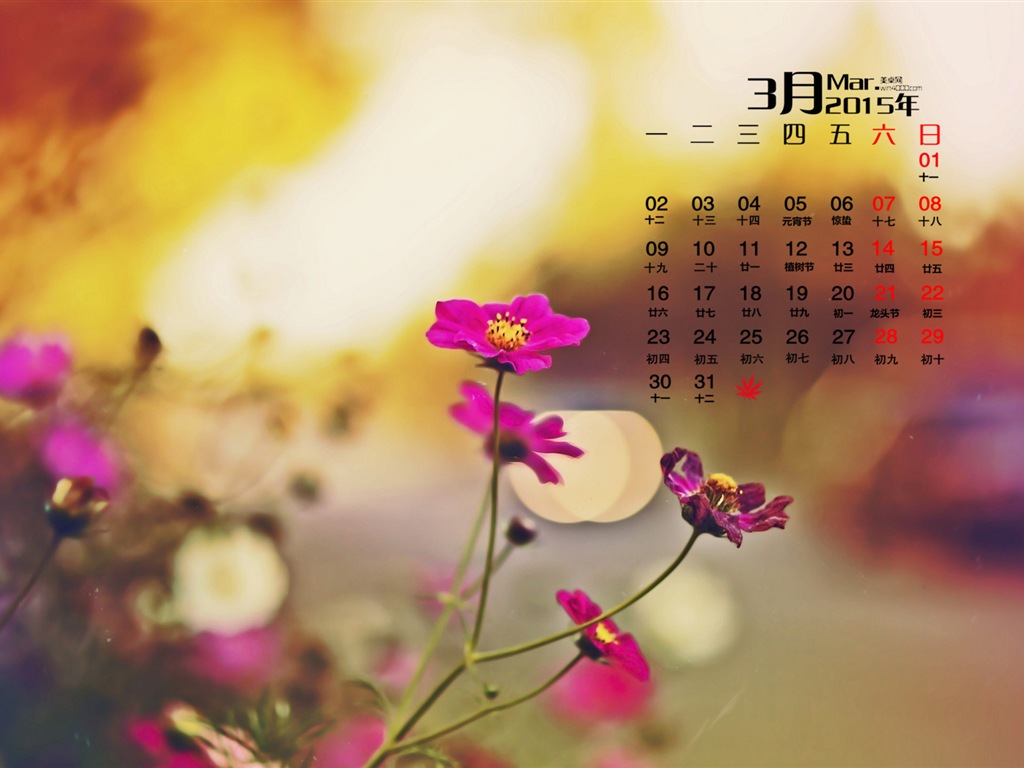 2015年3月 月曆壁紙(一) #9 - 1024x768