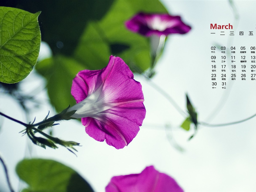 2015年3月 月曆壁紙(一) #14 - 1024x768