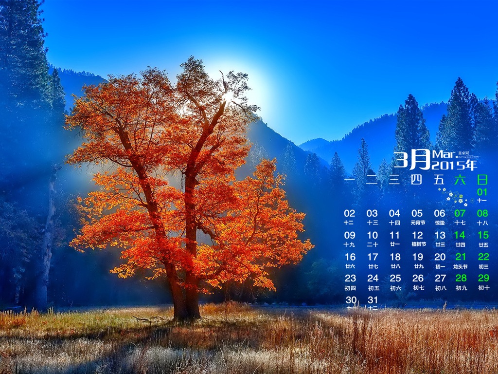 March 2015 Calendar wallpaper (1) #16 - 1024x768