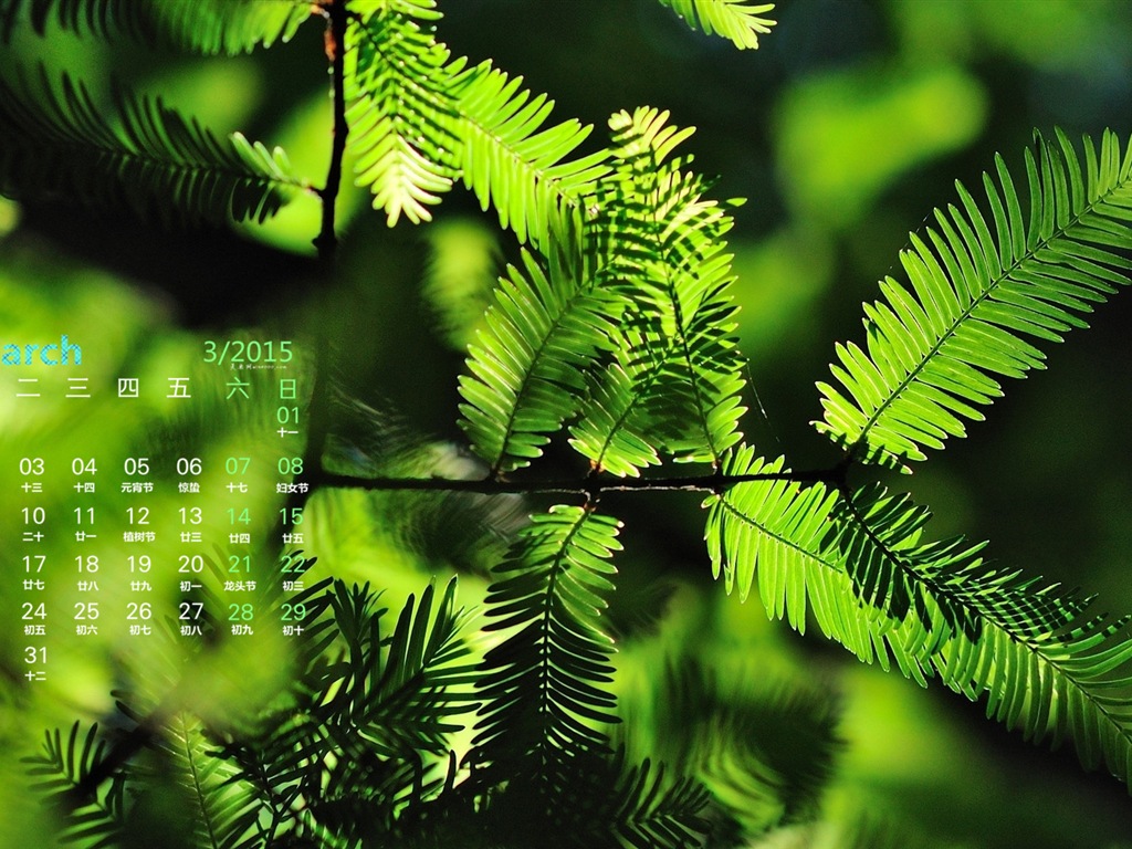 March 2015 Calendar wallpaper (1) #18 - 1024x768