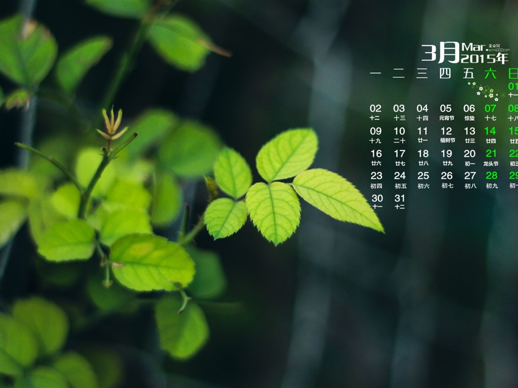03. 2015 Kalendář tapety (1) #19 - 1024x768