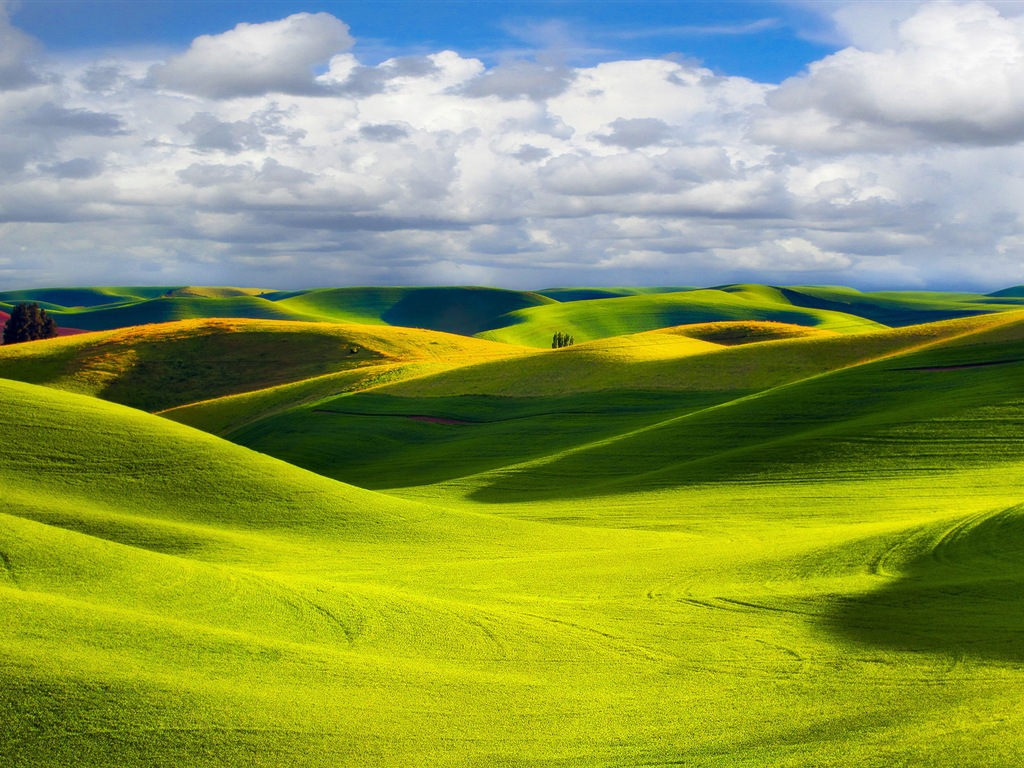 Belle couleur, décor naturel de fonds d'écran HD #9 - 1024x768