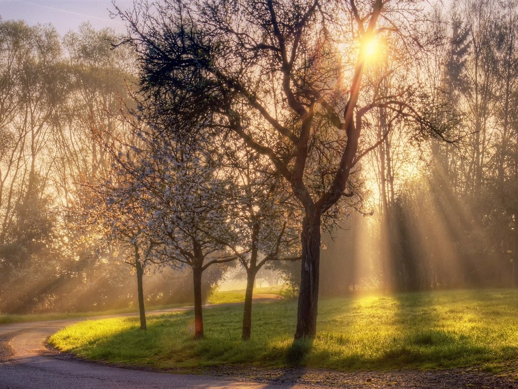 Belle couleur, décor naturel de fonds d'écran HD #18 - 1024x768