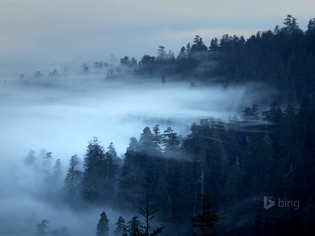 Février 2015 fonds d'écran HD Bing #22 - 1024x768