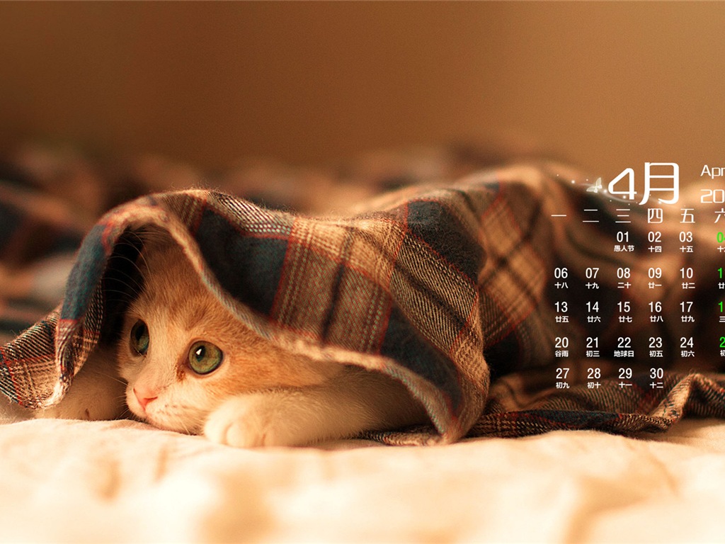 2015年4月 月曆壁紙(二) #13 - 1024x768