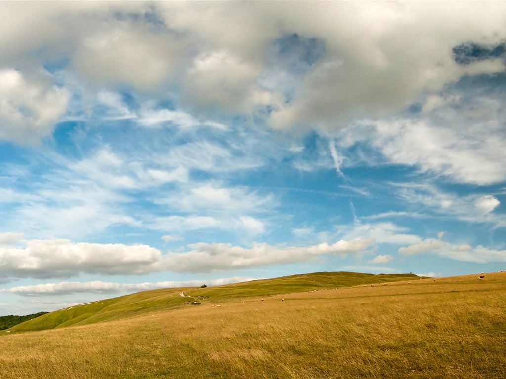 Paysage rural, Windows 8 fonds d'écran HD #5 - 1024x768