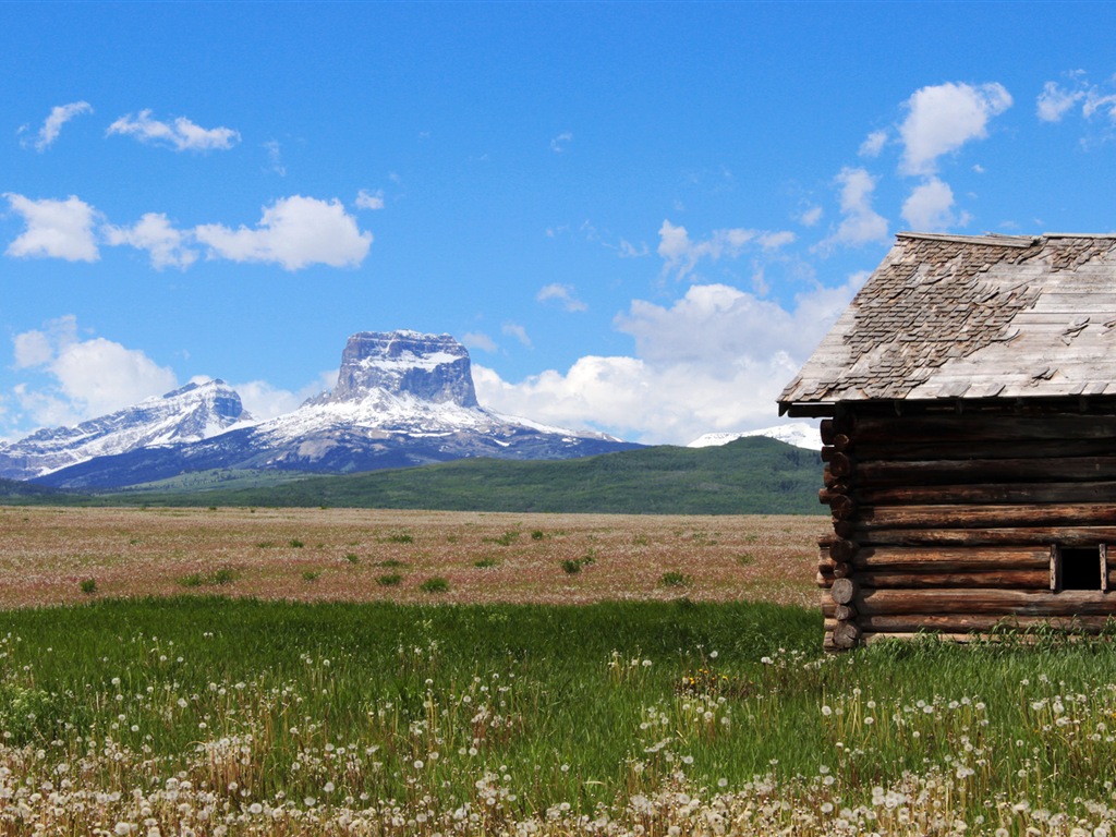 田園風景、Windows 8のHDの壁紙 #18 - 1024x768