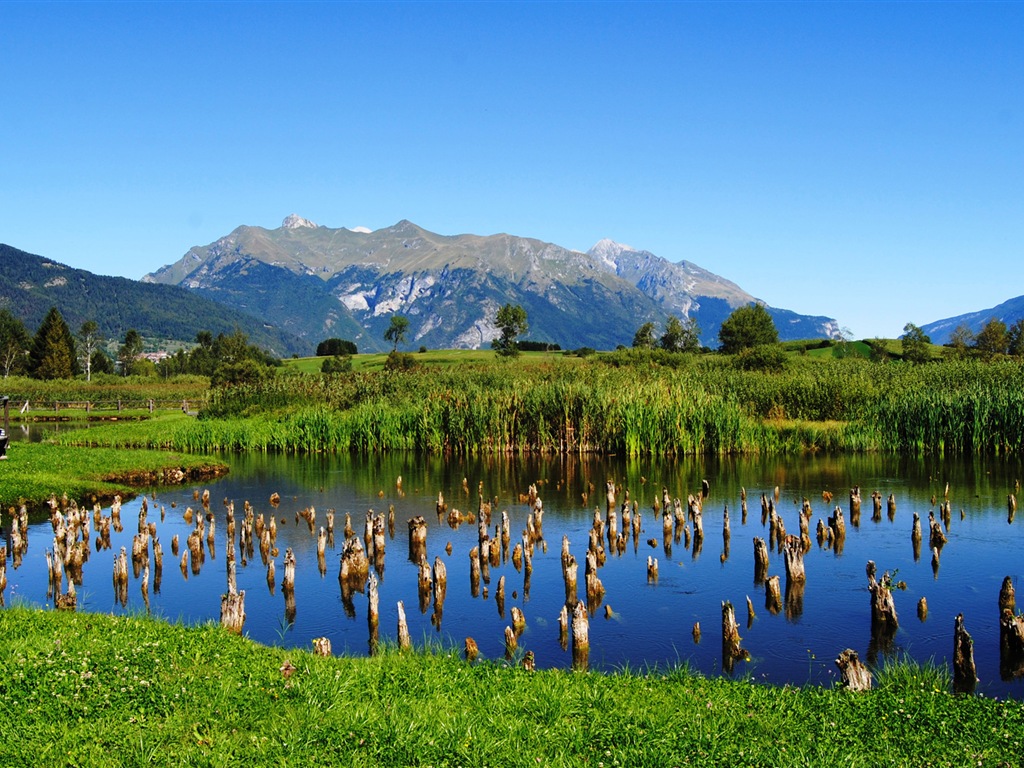 田园风景，Windows 8 高清壁纸21 - 1024x768