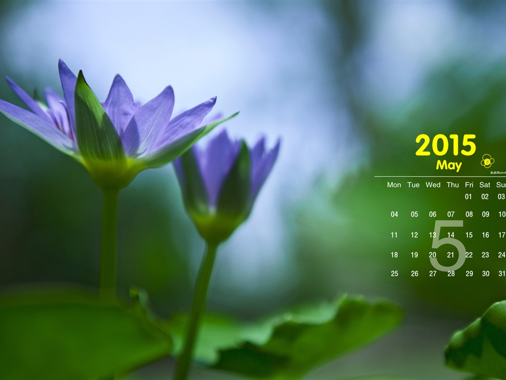 Mai 2015 Kalender Wallpaper (1) #1 - 1024x768