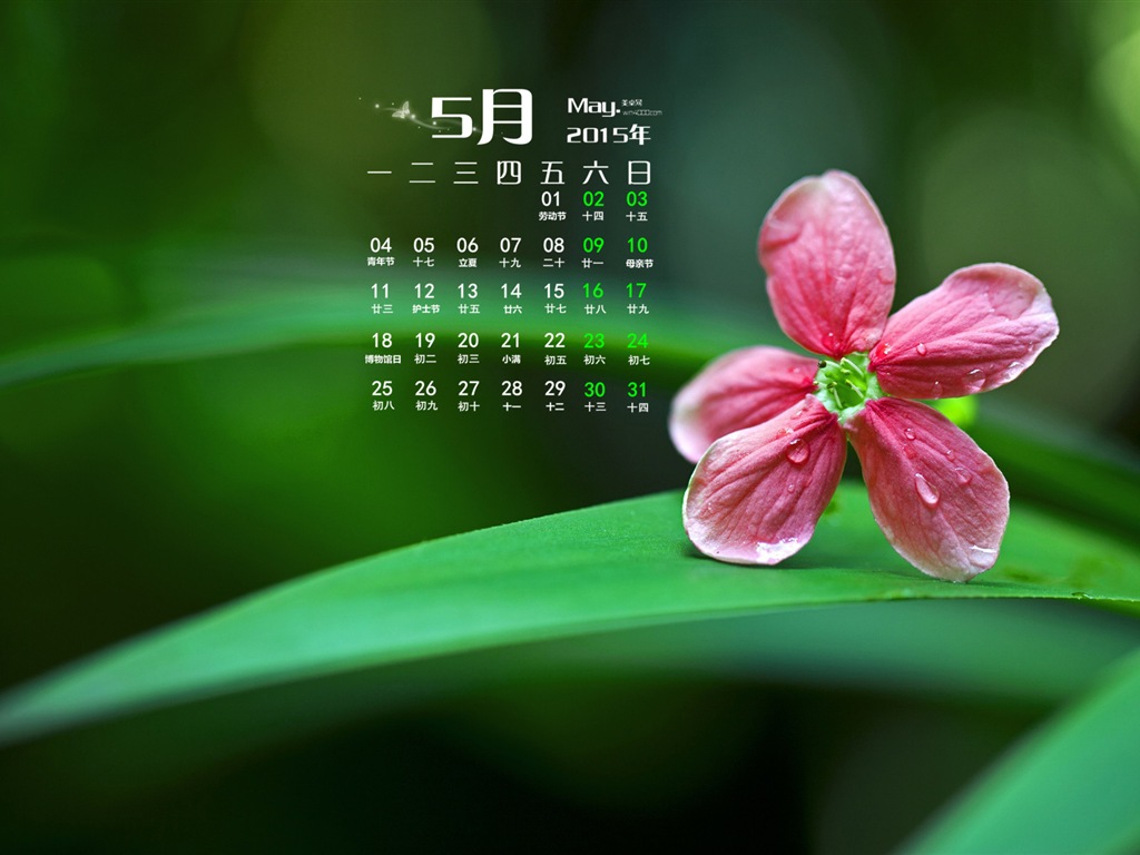 Mai 2015 Kalender Wallpaper (1) #8 - 1024x768