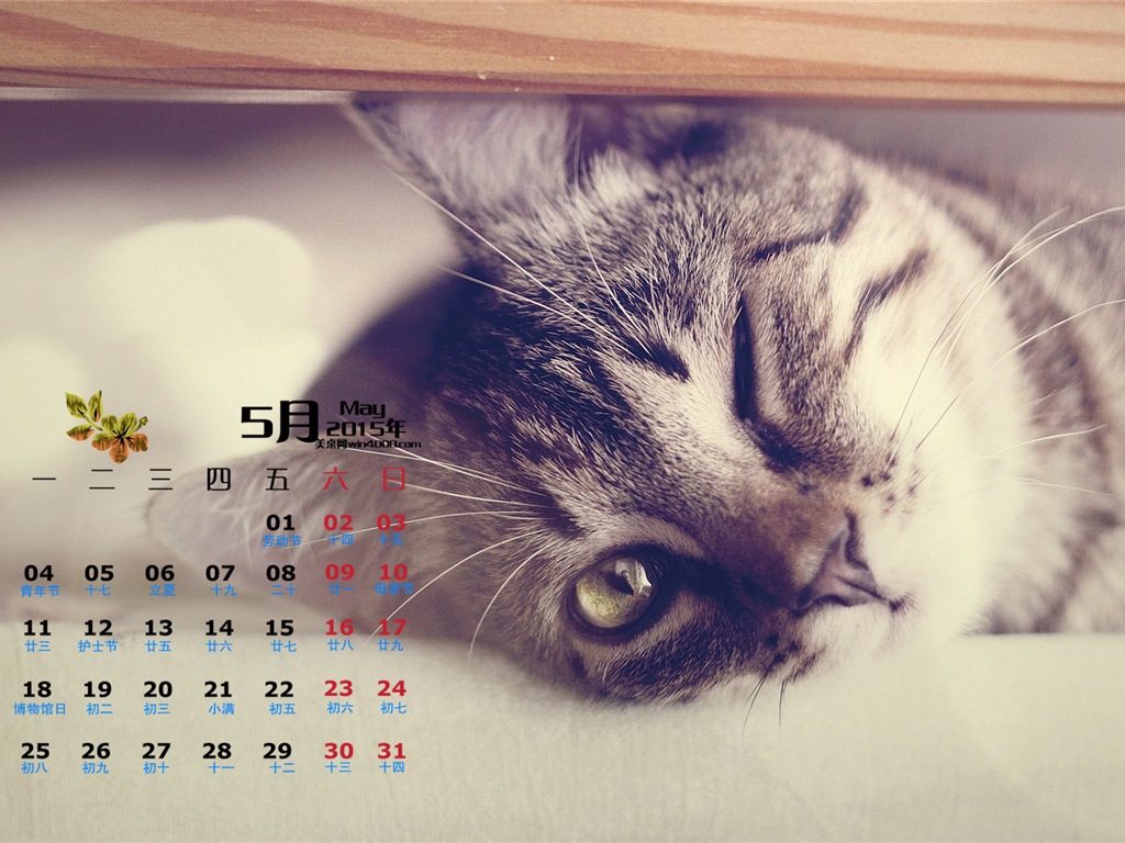 May 2015 calendar wallpaper (1) #14 - 1024x768