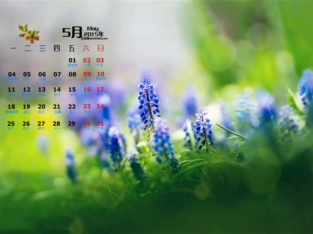 Mai 2015 Kalender Wallpaper (1) #16 - 1024x768
