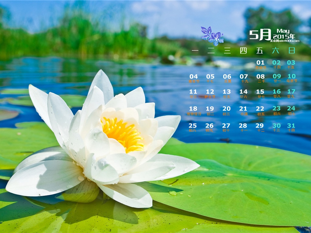 Mai 2015 calendar fond d'écran (2) #4 - 1024x768