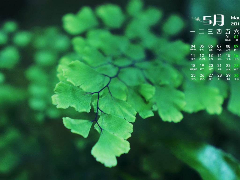 2015年5月 月曆壁紙(二) #5 - 1024x768