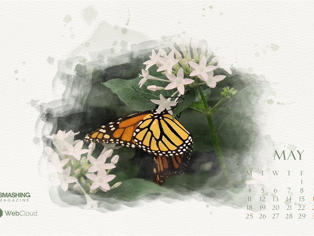 2015年5月 月曆壁紙(二) #11 - 1024x768