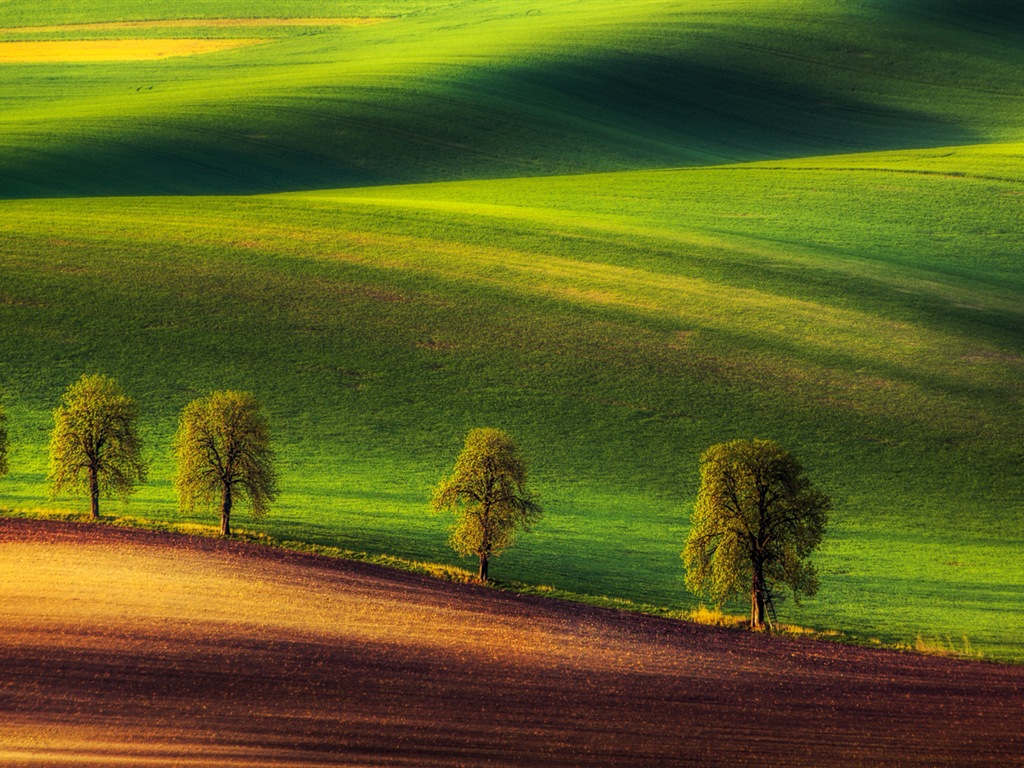 Windows-10 Vorschau Wallpapers Pack (3) #8 - 1024x768