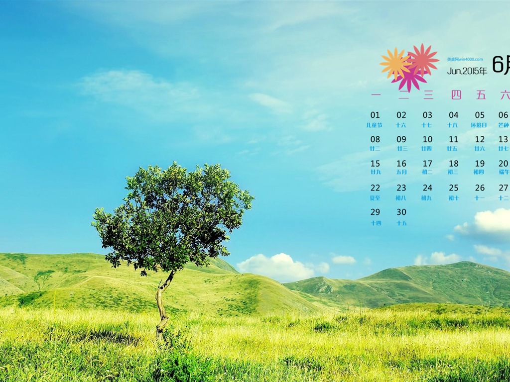 Juni 2015 Kalender Wallpaper (1) #1 - 1024x768